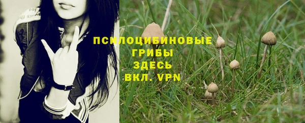 PSILOCYBIN Белокуриха